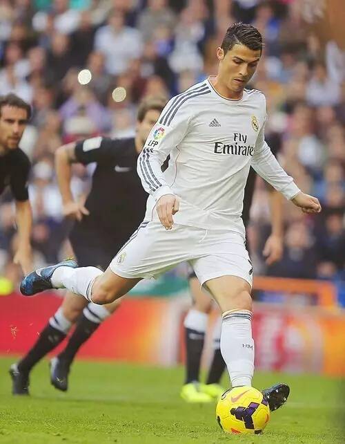 20支世界劲旅南山挥桨，2025大沙河赛艇邀请赛圆满收官